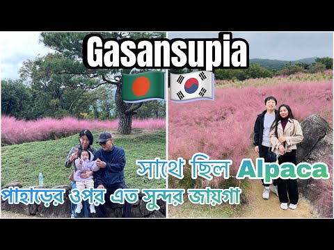 🇧🇩🇰🇷 Gasansupia| পাহাড়ের ওপর এত সুন্দর জায়গা সাথে ছিল Alpaca #gasansupia #alpaca #vlog #southkorea