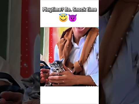 Cute kitten 🐈 #cat #animal #cute #ytshorts #viralvideo #phonk