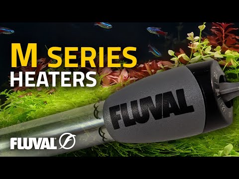 MIRRORING NATURE | Fluval M Series Heaters