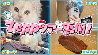 【そらねこクイズ】この後のそらねこの行動を当てろ！