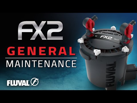 Fluval FX2 Canister Filter | General Maintenance