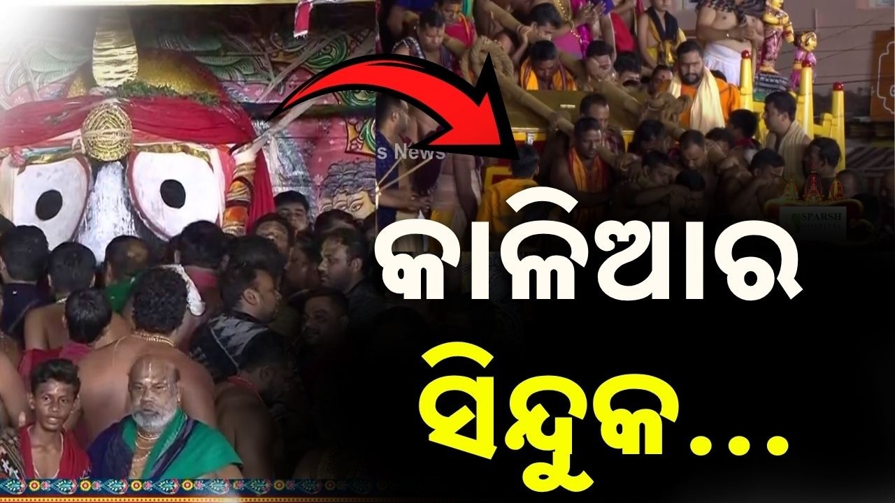କାଳିଆର ସିନ୍ଦୁକ | Niladri Bije | Niladri Bije 2026 | Niladri Bije Of Lord Jagannath | Rath Yatra 2026