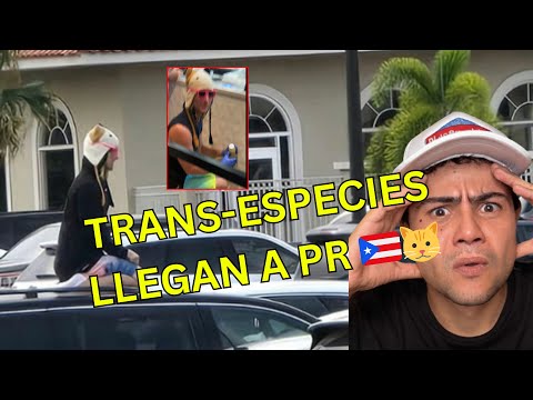 Se identifica como gato en los mall de Puerto Rico . Trans-especies en la isla?