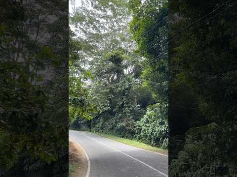 sepi #music #dj #remix #nostalgia