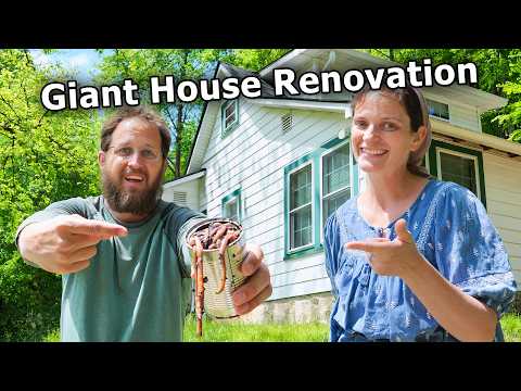 This Renovation is a HUGE Can of WORMS!