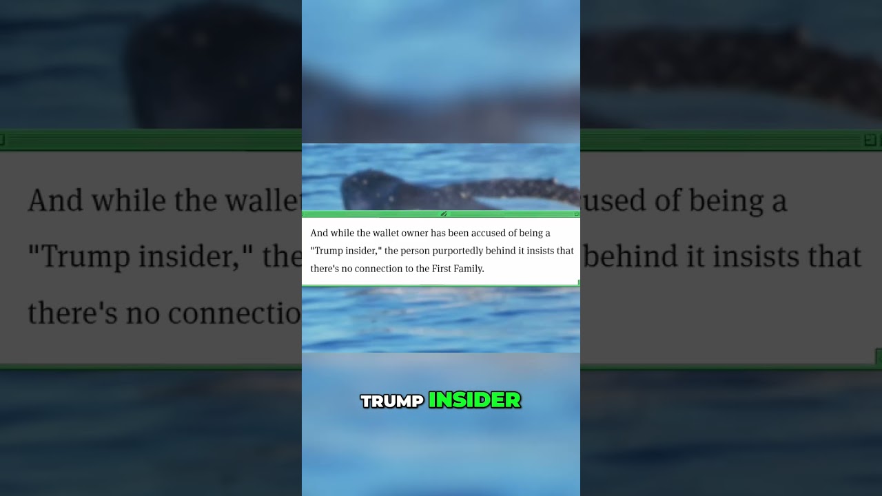 Crypto Whale Made $200M During Crash: What You Need to Know! shorts