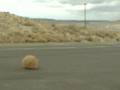 Tumble Weed