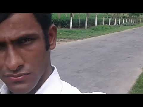 সুন্দরের মোহনায় হারিয়ে গেলাম চা বাগানে