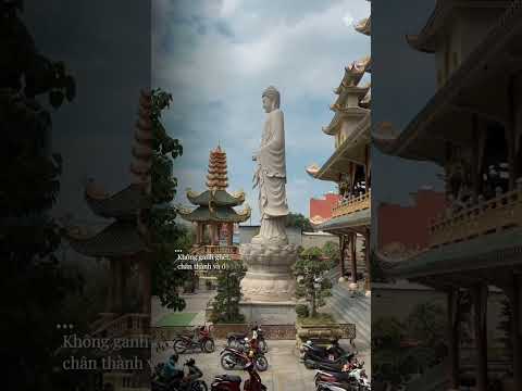 HÃY YÊU THƯƠNG MỌI NGƯỜI NHƯ YÊU THƯƠNG CHÍNH MÌNH