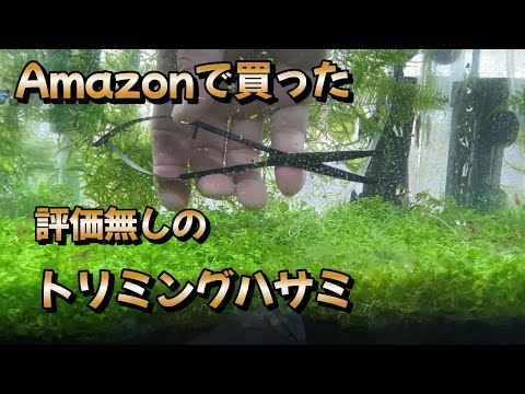 amazonnで無評価のトリミングハサミ買った結果。