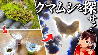 凄い生物「クマムシ」をその辺のコケから探し出せ！【自由研究】【夢】
