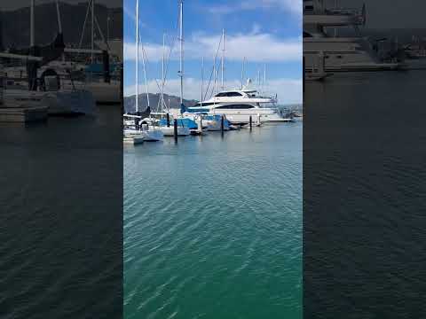 Luxury on the Bay #MarinaGreen #SanFranciscoBay #SFLifestyle #yachtlife #GoldenGateVibes #BayBeauty