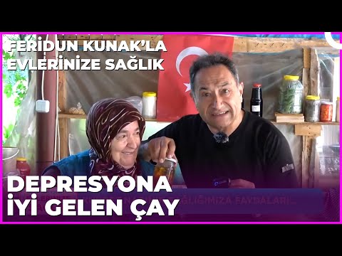 Şifalı Bitkilerden Sağlıklı Deposu Çaylar | Dr. Feridun Kunak’la Evlerinize Sağlık