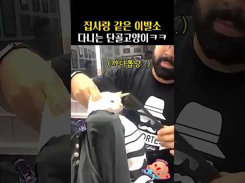 집사랑 같은 <strong>이발소</strong> 다니는 단골고양이ㅋㅋ