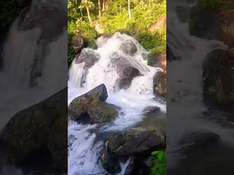 Nature view, summer rain, rainy weather, nature 4k videos, short videos