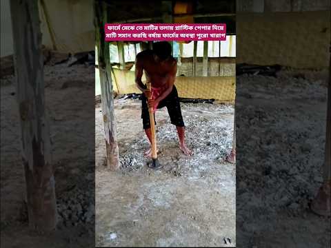 অতিবৃষ্টির ফলে ফার্মের মেঝের অবস্থা#reels #poultryfarm #chicken #chickenfarming#cover #bollywood