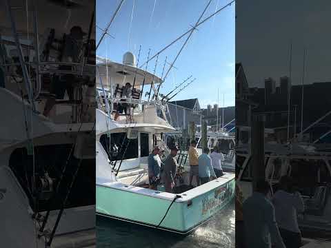 White marlin open 2026 boats pulling in video thumbnail