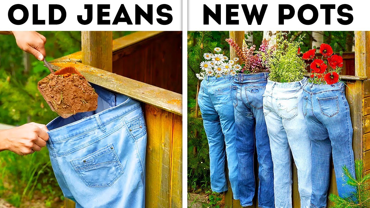 Unlock Your Backyard’s Full Potential! 🌿🏡 Genius Garden Hacks & Ideas