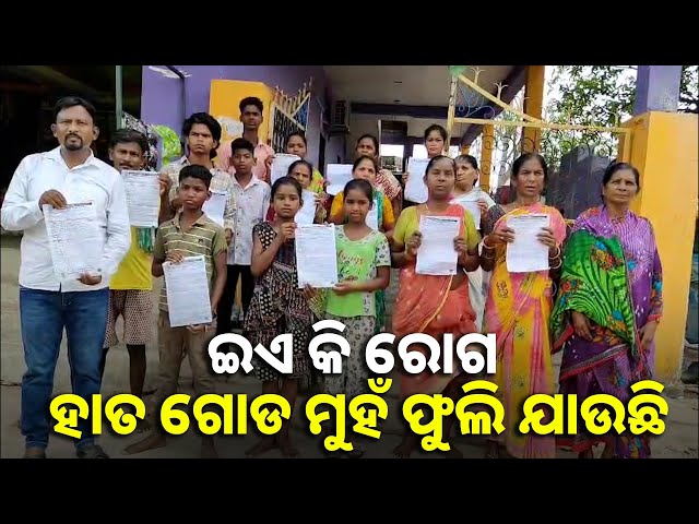 ମାଲକାନଗିରି ପଡ଼ିଆ ଅଞ୍ଚଳରେ ଅଜଣା ରୋଗ ଆତଙ୍କ, ୫୦୦ ଲୋକ ଆକ୍ରାନ୍ତ || Knews odisha