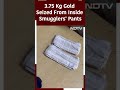 3.75 Kg Gold Hidden Inside Smugglers Pants Seized At Delhi Airport