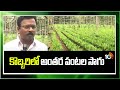 Intercropping in Coconut Plantation | కొబ్బరిలో అంతర పంటల సాగు | Matti Manishi | 10TV News