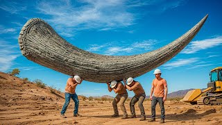 Когда Земля раскрывает свои древнейшие тайны // Археологические открытия