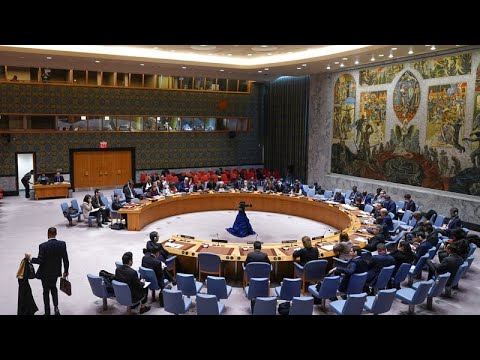 Primeiro dia de Moçambique no Conselho de Segurança da ONU