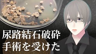 [ #雑談 ] 尿路結石の手術を受けました [ #VTuber ]