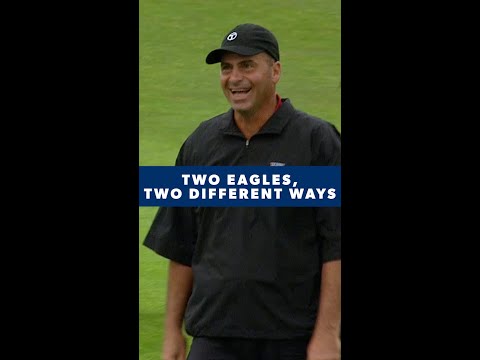 Two VERY different ways to make an eagle ?