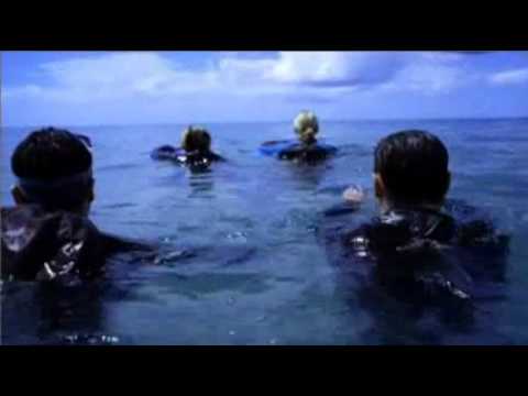 The Reef'