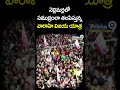 నెల్లిమర్లలో సముద్రంలా తలపిస్తున్న వారాహి విజయ యాత్ర జన సంద్రోహం | Janasena | Prime9 News  - 00:49 min - News - Video
