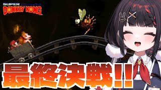 【スーパードンキーコング】ついに今日ラスボス倒します！【クリア耐久】