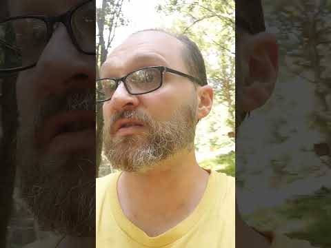 Get geese they said... 