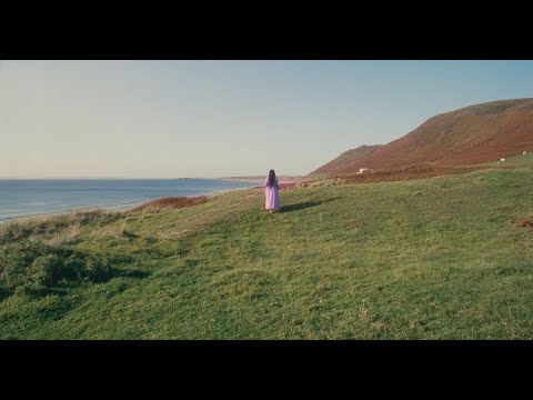 The Visit'