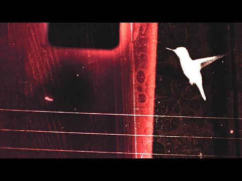 Lessons on Flight'
