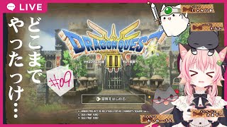 【#ドラゴンクエスト3 】#09　久しぶりの勇者業【ネタバレあり】