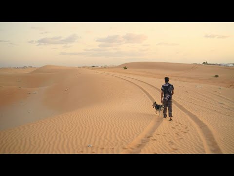 From Siberia to the Sahara, huskies are all the rage in Mauritania | AFP