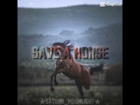 ||Save a horse, Ride a cowboy! 🤠|| #cowboys #horses #countryboys #farmanimals