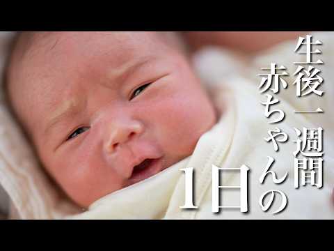 【第三子】生後1週間赤ちゃんの1日に密着!!