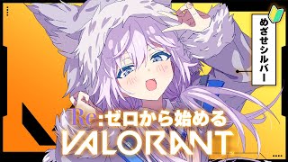 【VALORANT】Re:ゼロから始めるヴァロ🔰FPS初心者シルバー目標 #ぎんかいおんえあ 【銀灰まお/ハコネクト】