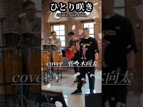 ひとり咲き　チャゲ＆飛鳥　cover佐々木向太先生　#shorts