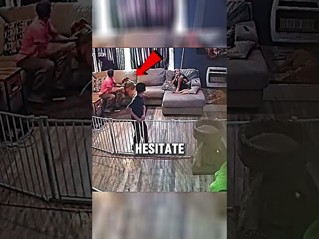 Pitbull Guard Dog SAVED The House (@iam_thehulk)