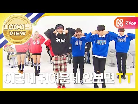 (Weekly Idol EP.288) Good Job!! Good Boy!!!