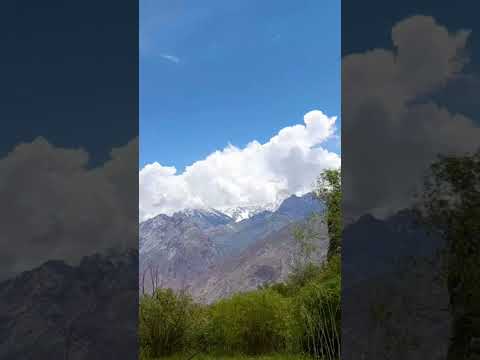 #tutorial #birds #mountains #home #youtubeshorts #vlog #nature #pakistan #kpk #malakand #divine