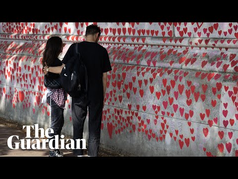 UK Covid-19 inquiry: Britain's public inquiry into the Covid-19 pandemic continues