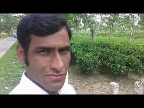 চায়ের রাজধানী শ্রীমঙ্গল