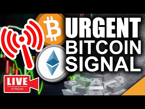 Urgent Bitcoin Price Signal (Strongest On Chain Indicator)