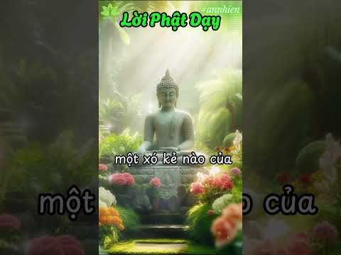 Không có một nơi nào có thể giúp con người trốn tránh được hậu quả mang lại | Lời Phật Dạy| An Nhiên