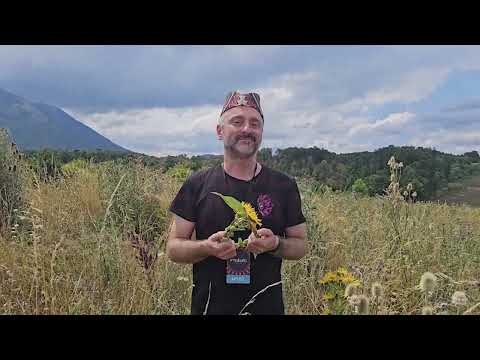 Narodni travar SO1 E7 Rtanj Piramida