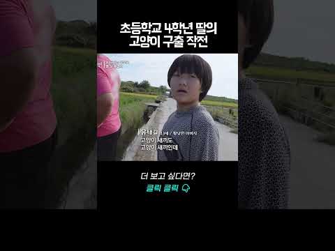 초등학교 4학년 딸의 고양이 구출 작전 | 바로보는 <strong>사노라면</strong>